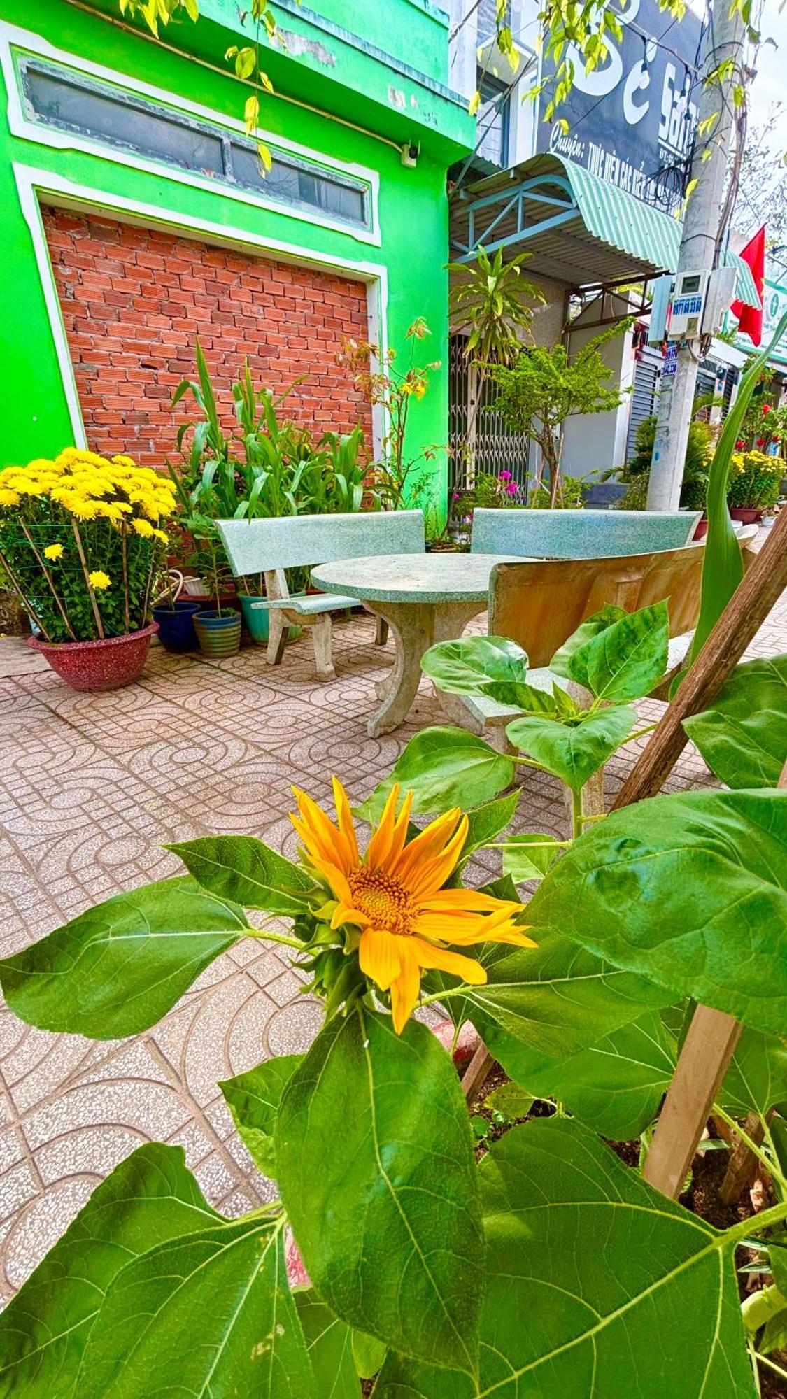 Thuy Hang Motel Long Hải Exterior foto